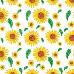 Meet your Posher, Armida